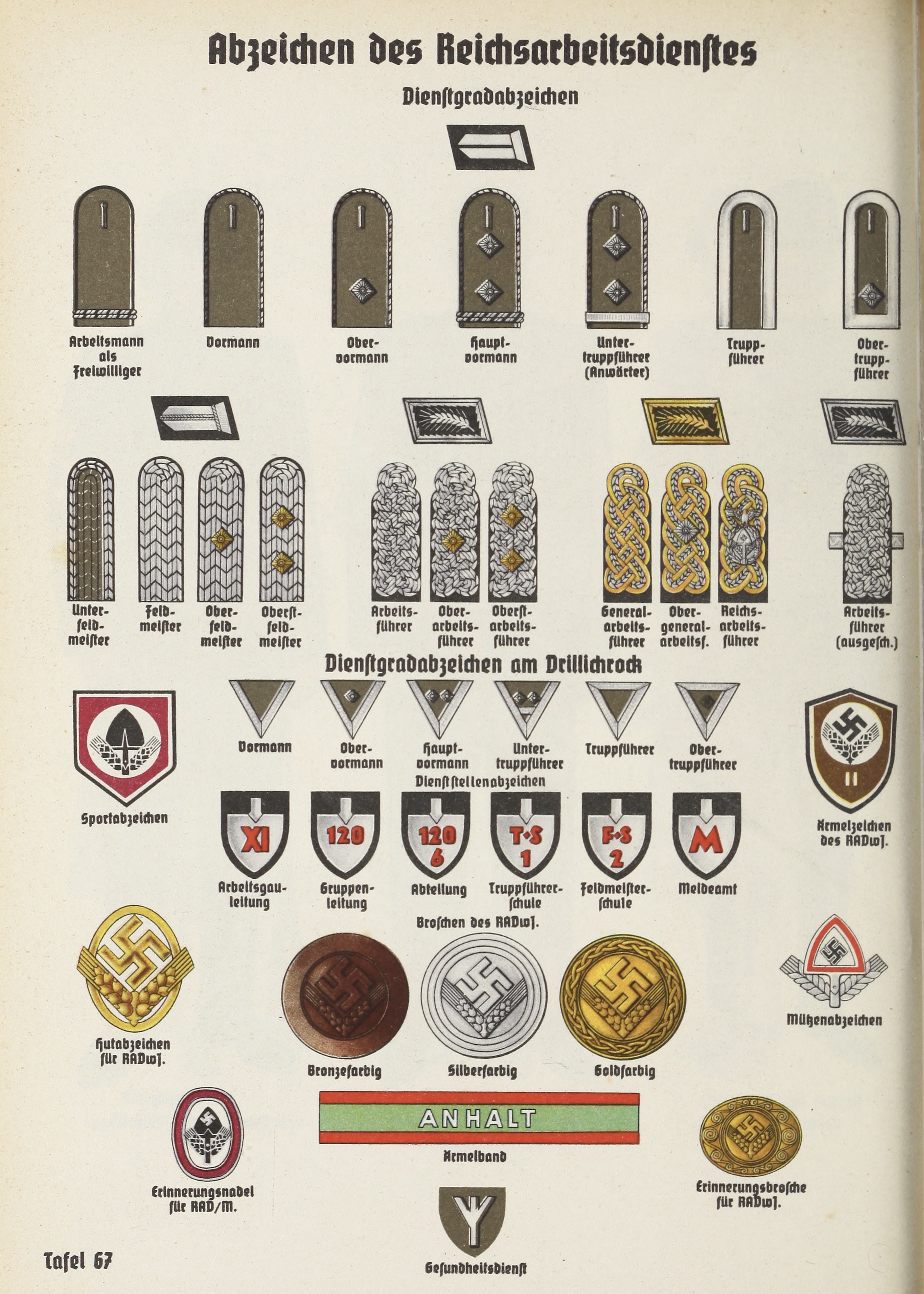 Ranks And Insignia Of The Reichsarbeitsdienst Wikipedia