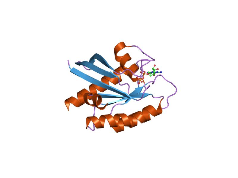 File:PDB 1ioz EBI.jpg