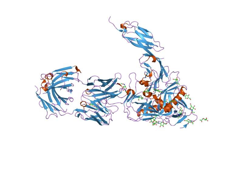 File:PDB 2ny4 EBI.jpg