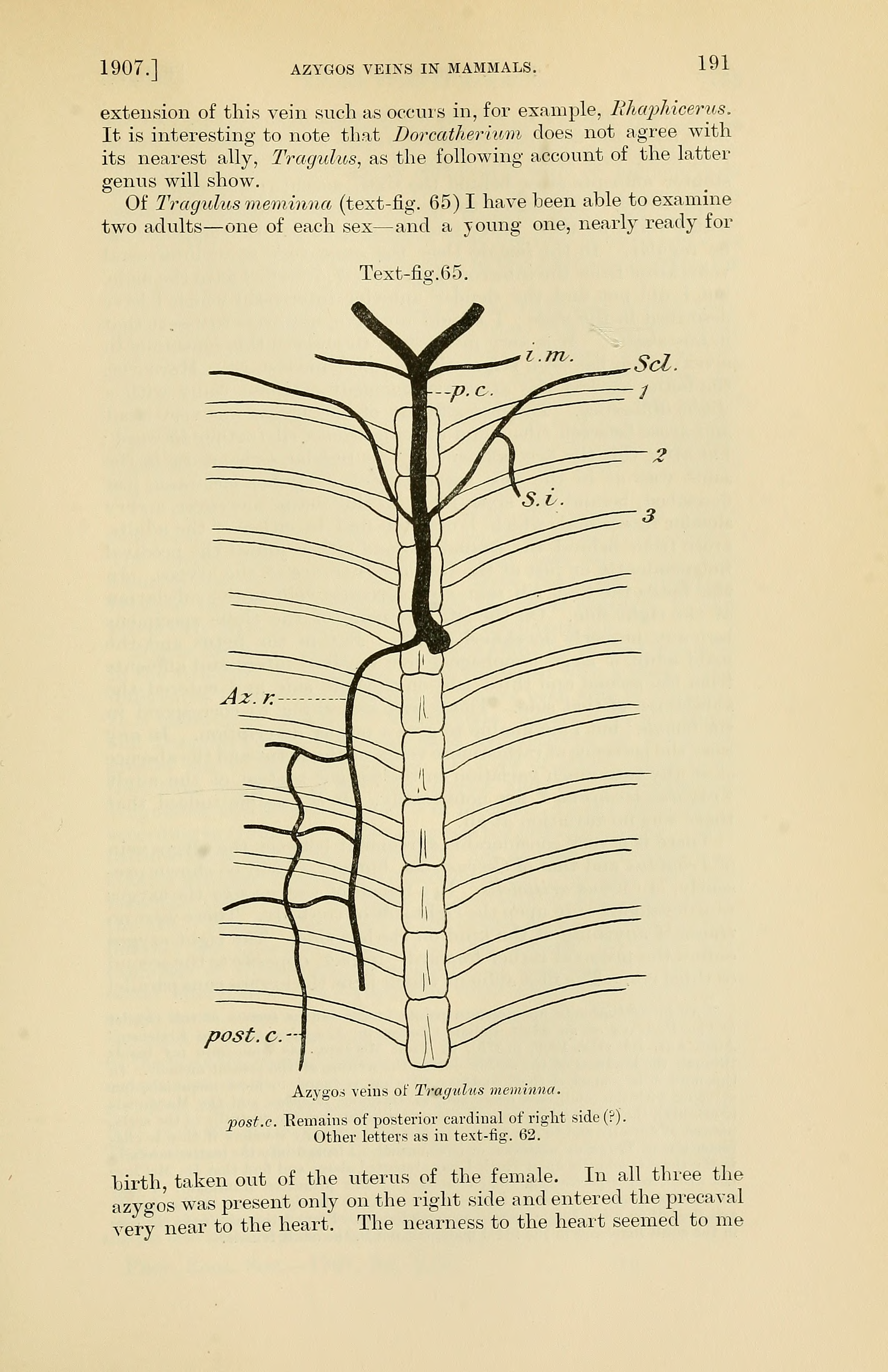 PZSL1907Page191.png