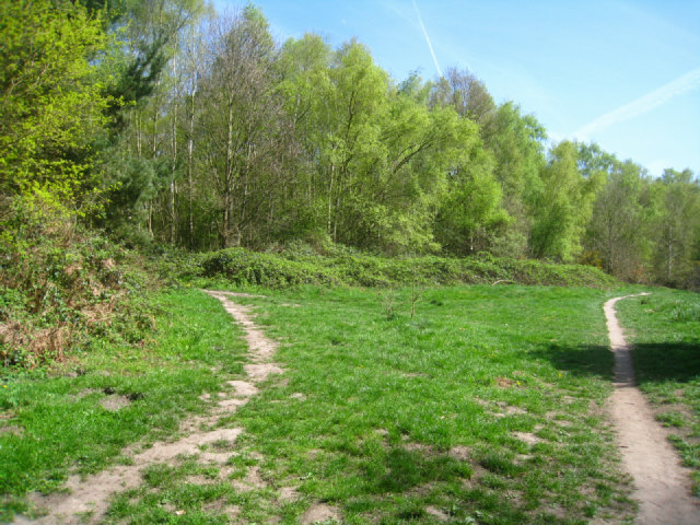 Paths by California Country Park - geograph.org.uk - 2542556