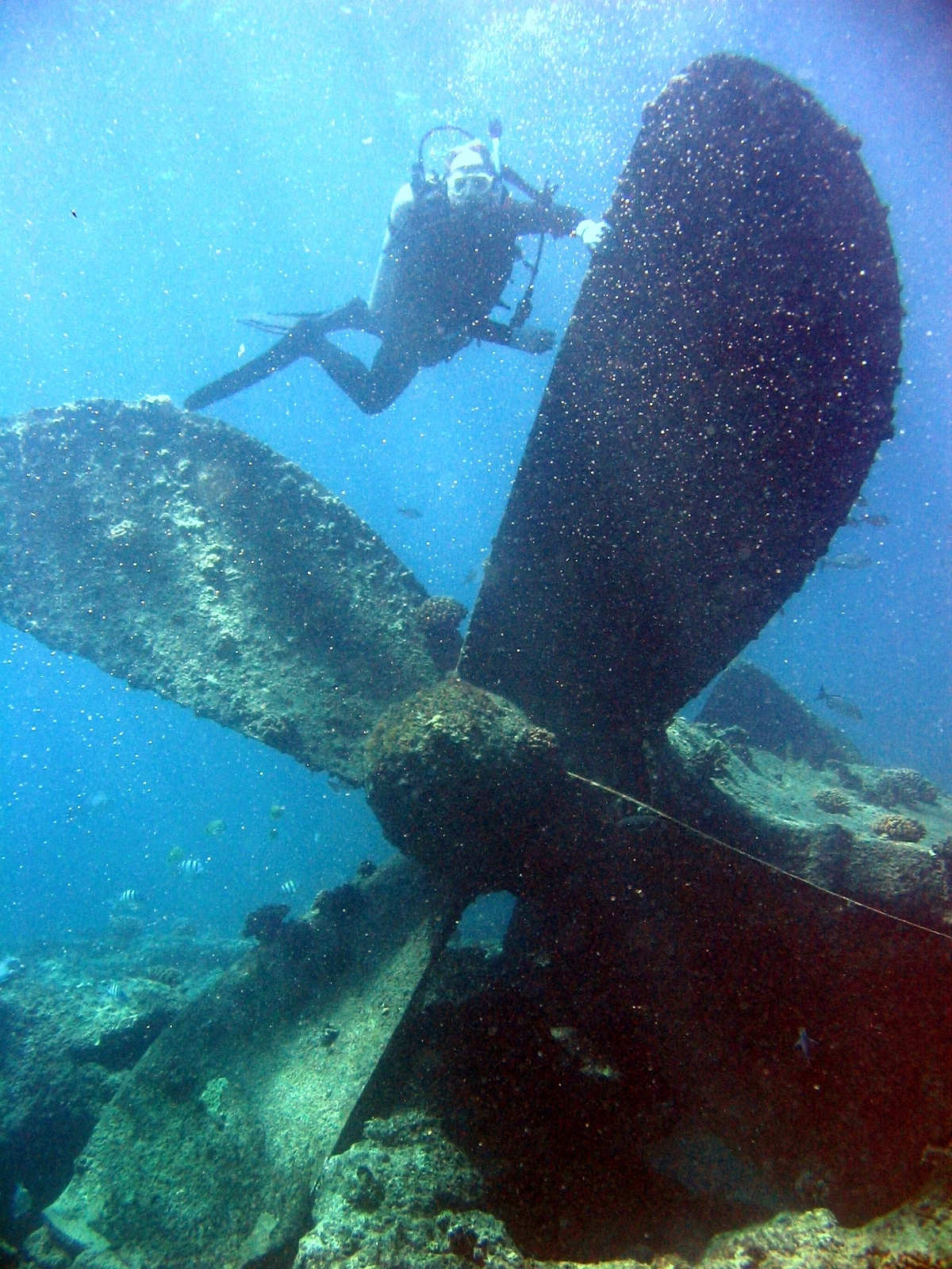 Pin on Andrea Doria wreck