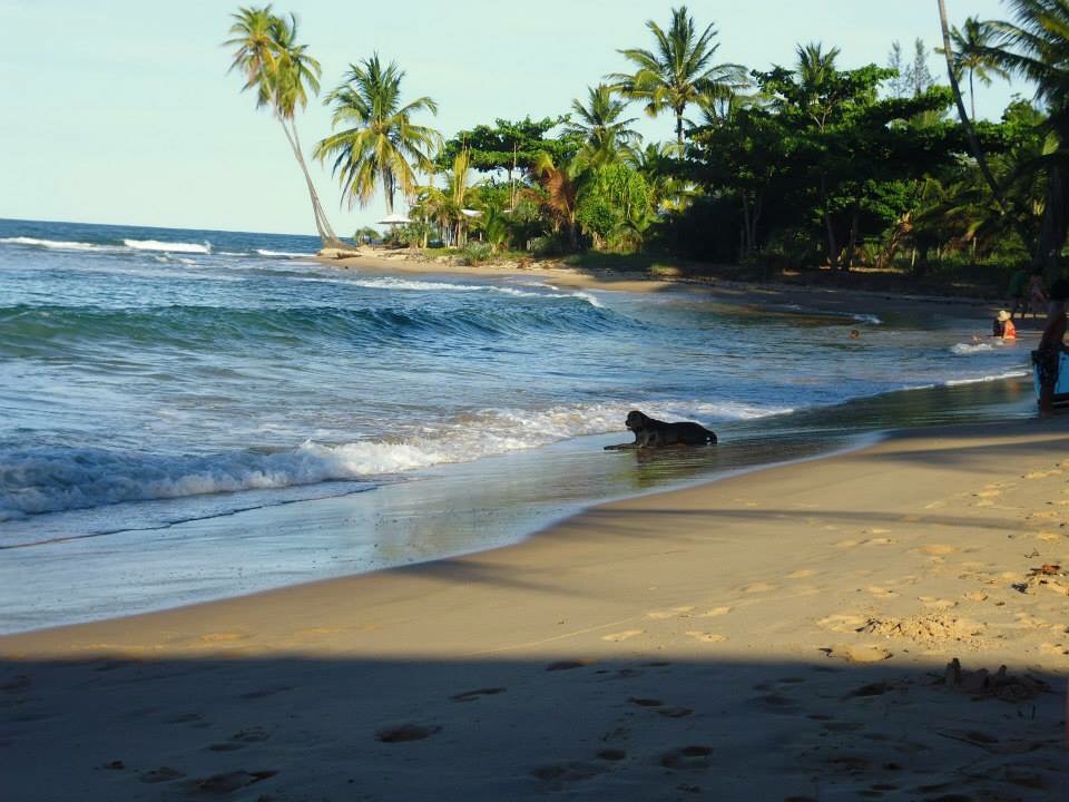 Praia para ir com crianças