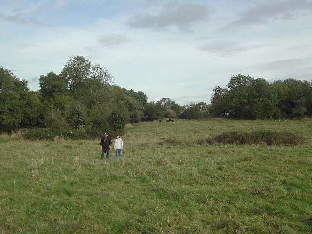 ST4464 Ancient Hill Fort, Cadbury Hill - geograph.org.uk - 68763