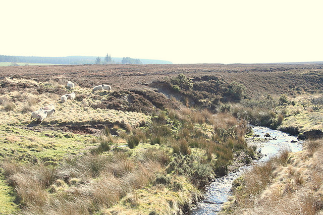 File:Southerly view over the boglands from Bridge of Newton. - geograph.org.uk - 376681.jpg