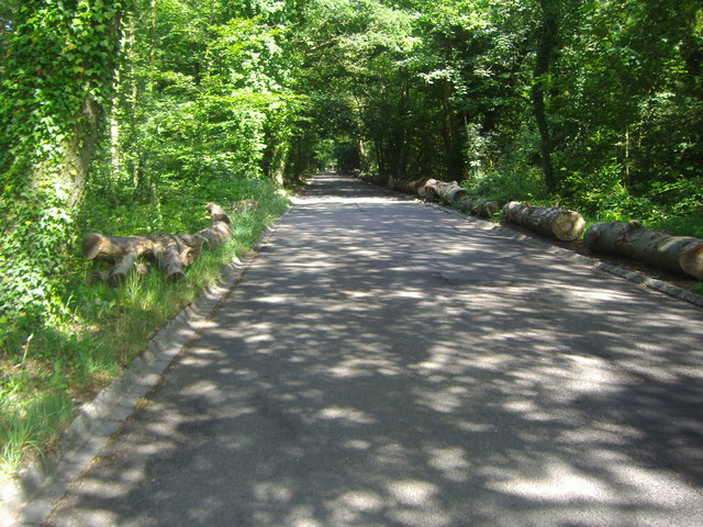 File:Warren Lane - geograph.org.uk - 1384361.jpg