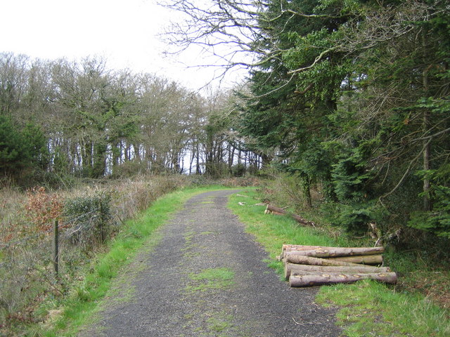 File:Wiston Wood - geograph.org.uk - 160523.jpg