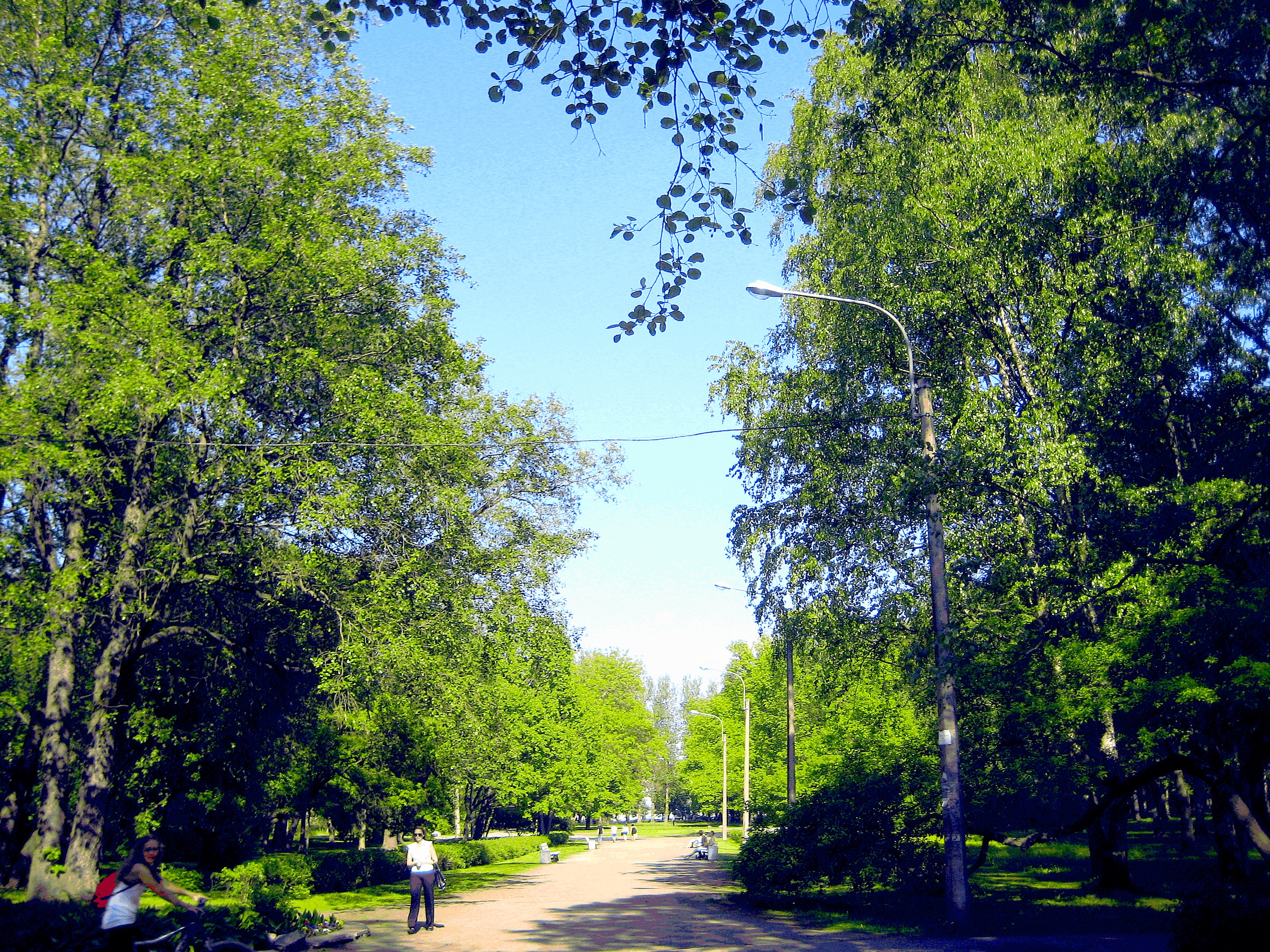 Удельный парк в Санкт-Петербурге