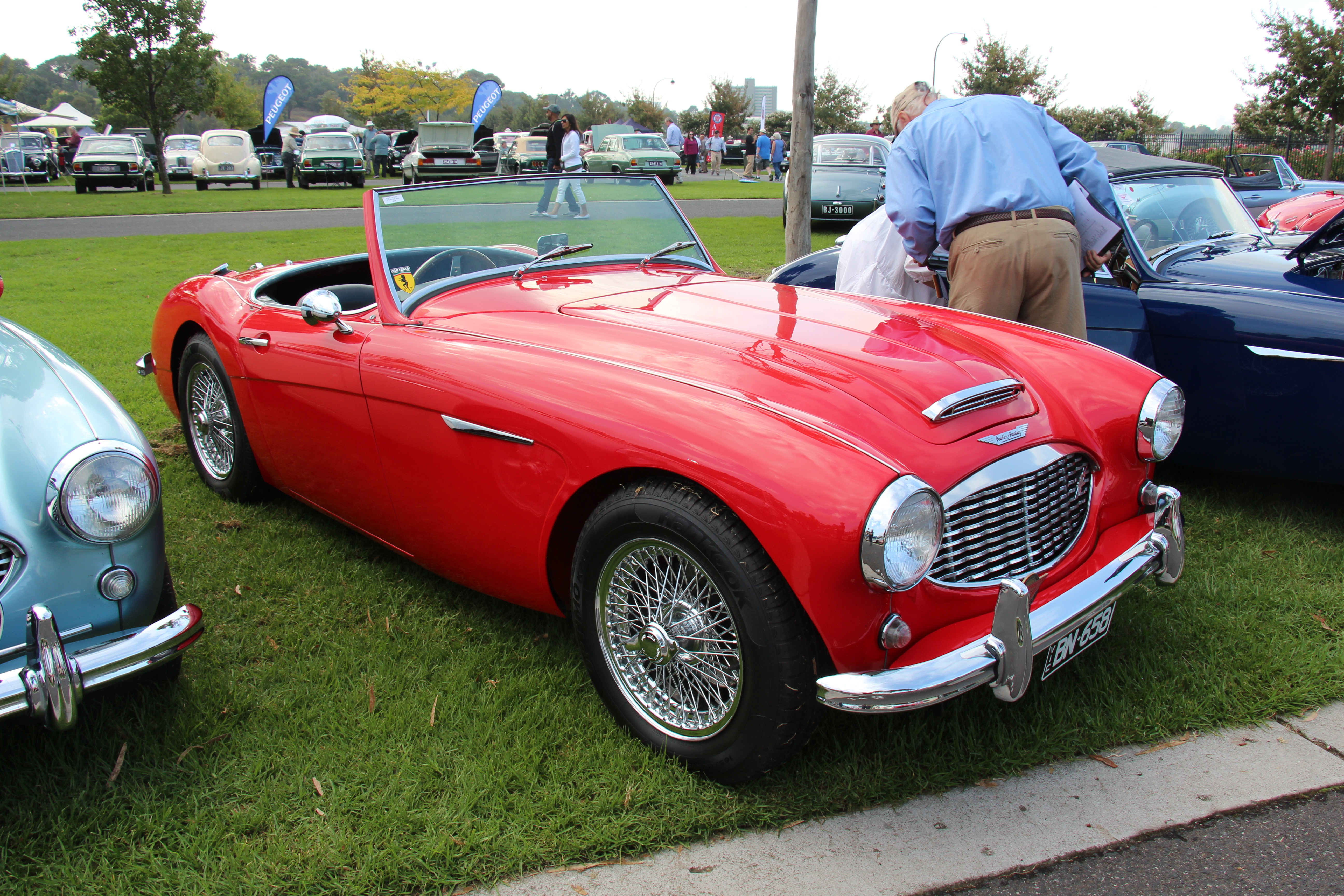 File:1958 Austin Healey 1006 BN6 14314990214.jpg  Wikimedia Commons