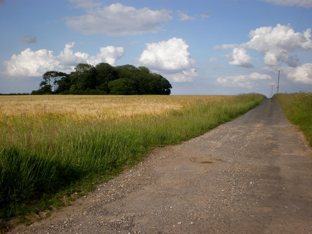 File:Access road to Wold Farm - geograph.org.uk - 1389667.jpg