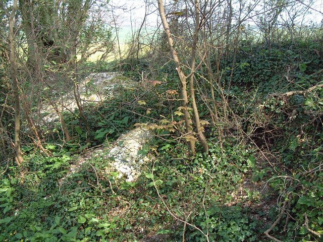 File:Badger Setts on Lord's Down - geograph.org.uk - 423895.jpg