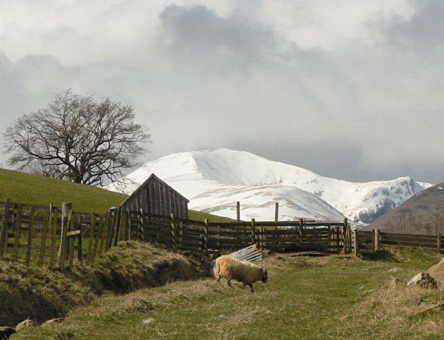 Ben Lawers from a field above Acharn - geograph.org.uk - 756169