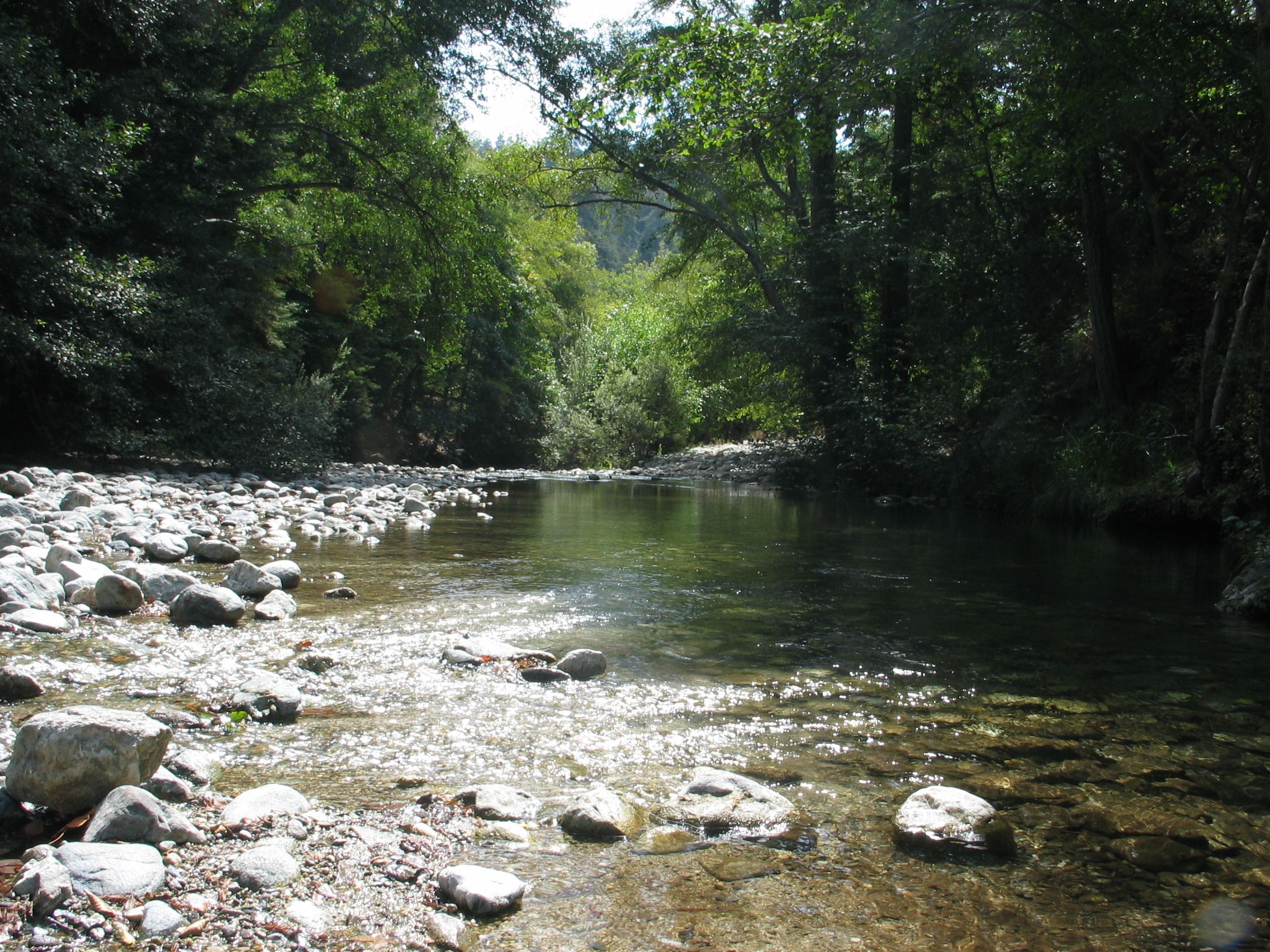 FileBig sur campground stream flowing through trees.jpg