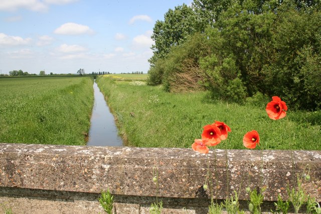 File:Butterwick Common - geograph.org.uk - 181590.jpg