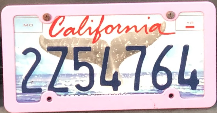 File:California whale tail truck plate.jpg