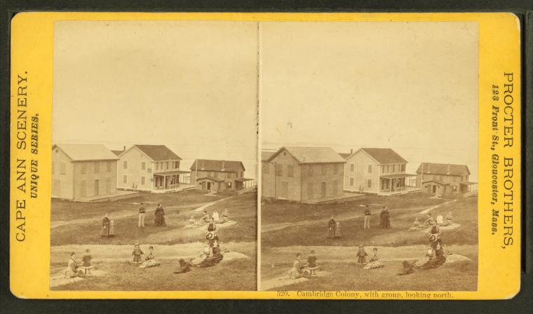File:Cambridge Colony, with group, looking north, by Procter Brothers.jpg