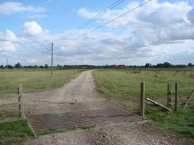 File:Cattle grid on the track to Westfield Farm - geograph.org.uk - 548215.jpg