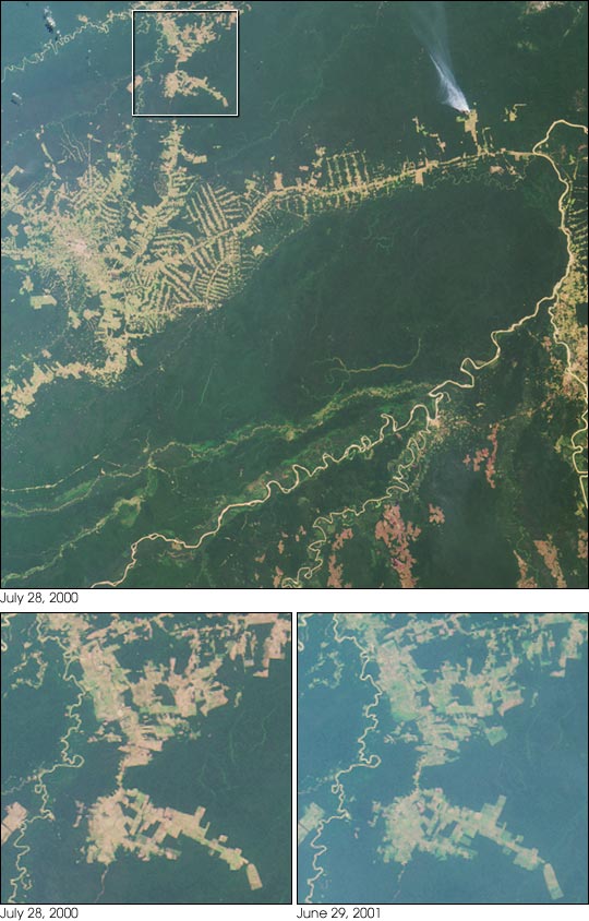 Deforestación - Wikipedia, la enciclopedia libre