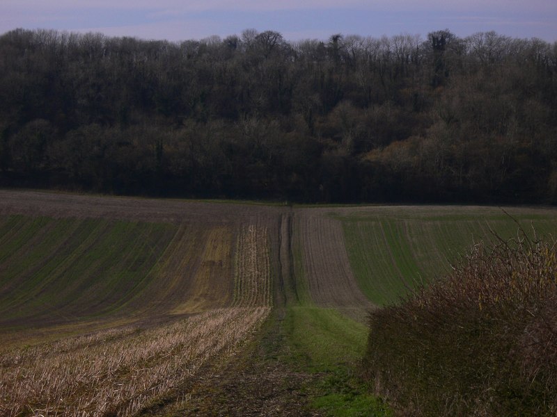 File:Descent into Downley Bottom - geograph.org.uk - 2274666.jpg