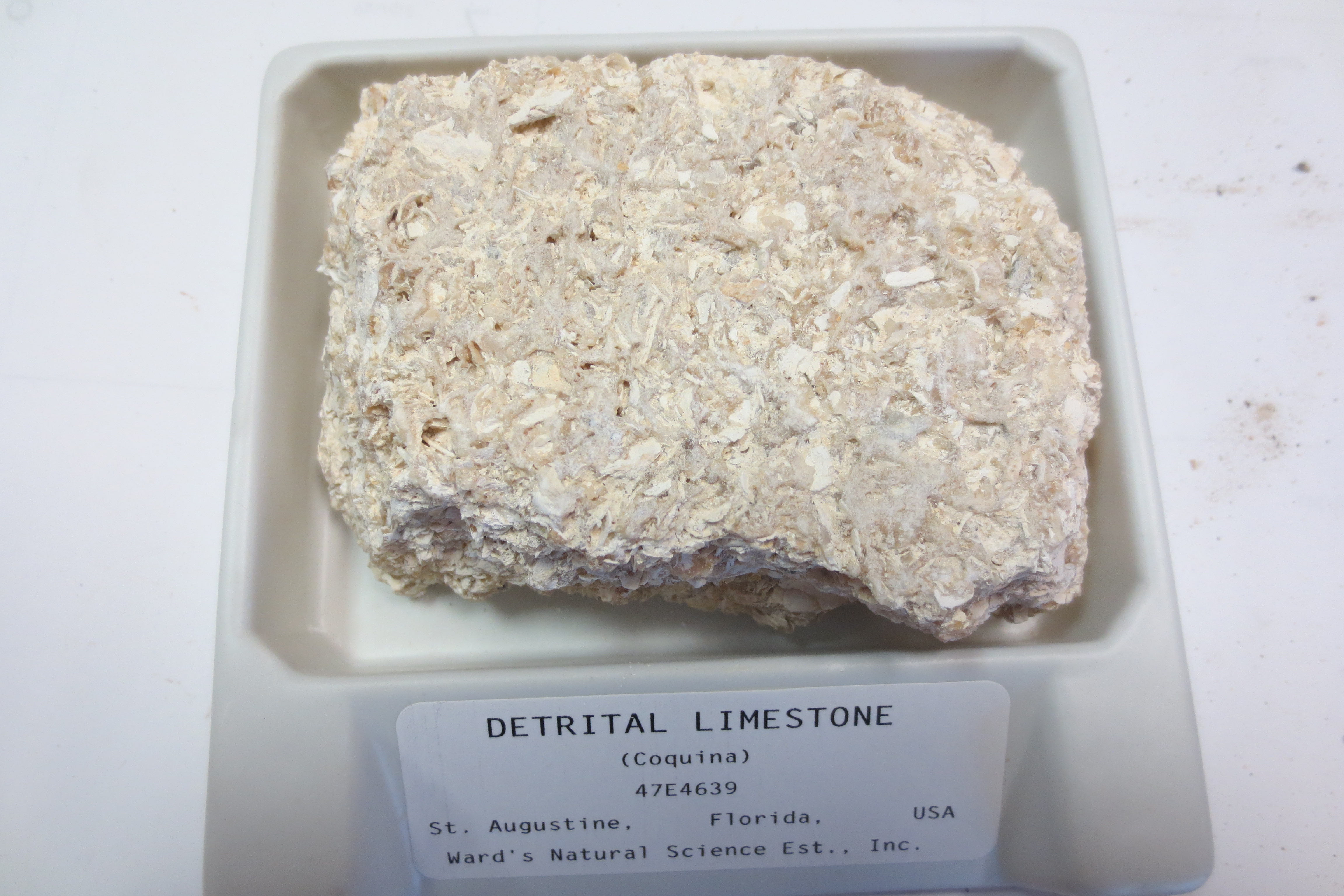 Limestone перевод. What is limestone?. Limestone трудность. Директор limestone.