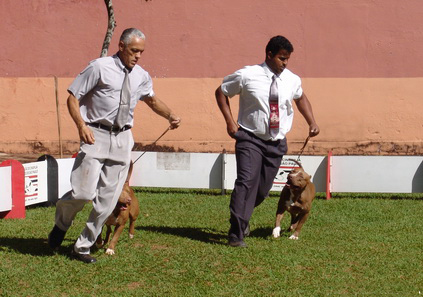 File:Expocão 2005-Avaré domingo 2.JPG