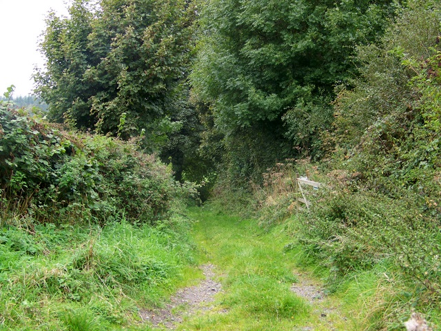 File:Footpath near Norton Ferris - geograph.org.uk - 1560186.jpg