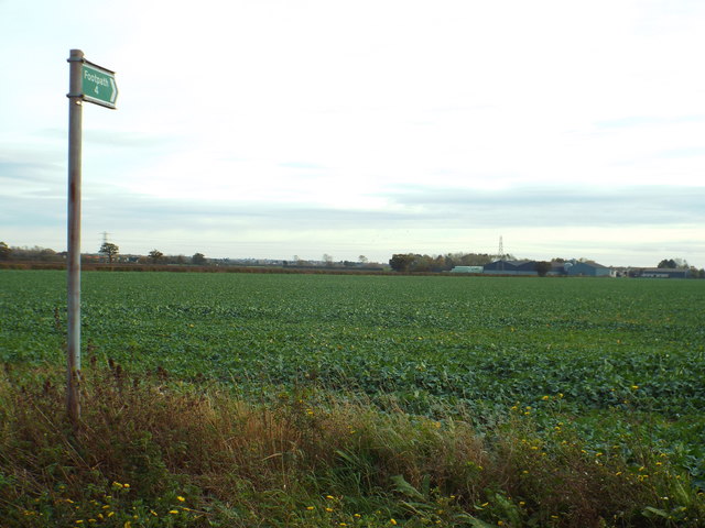 File:Footpath sign near West Horndon - geograph.org.uk - 5582547.jpg