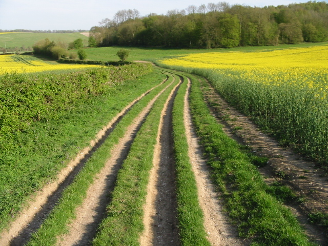 File:Four lane farm track and footpath - geograph.org.uk - 790044.jpg