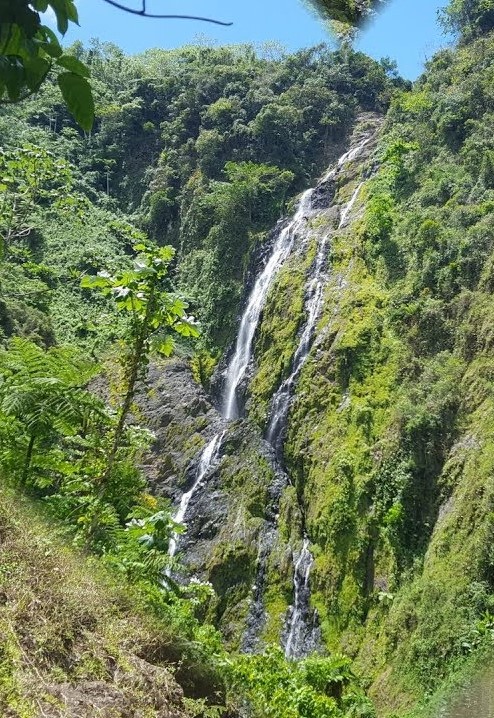 https://upload.wikimedia.org/wikipedia/commons/5/57/Hato_mayor%2C_dominican_republic_waterfall.jpg