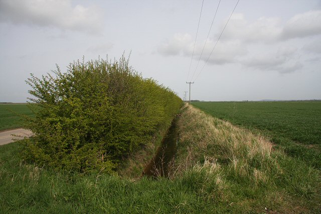 File:Hedgerow and ditch at Wooton Marsh - geograph.org.uk - 777299.jpg