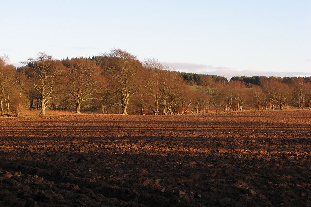 File:Hindside Hill - geograph.org.uk - 291210.jpg