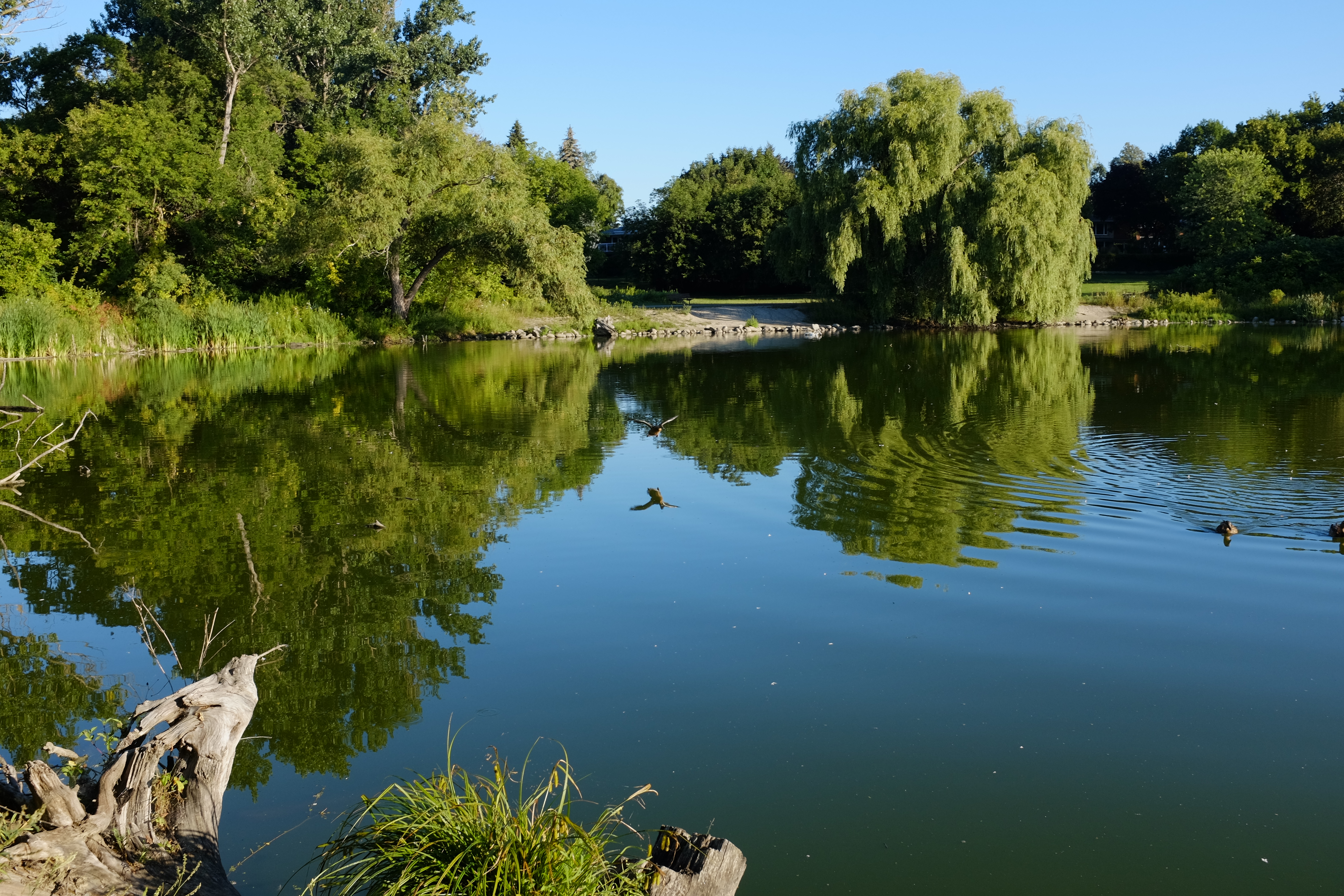 River trails