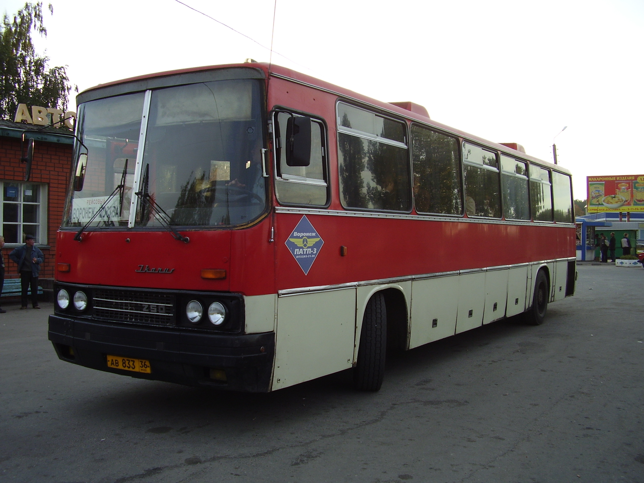 File:Ikarus bus.jpg - Wikimedia Commons