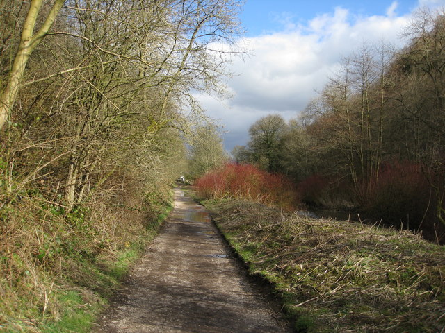 File:Lathkill Dale Nature Reserve Footpath - geograph.org.uk - 723012.jpg