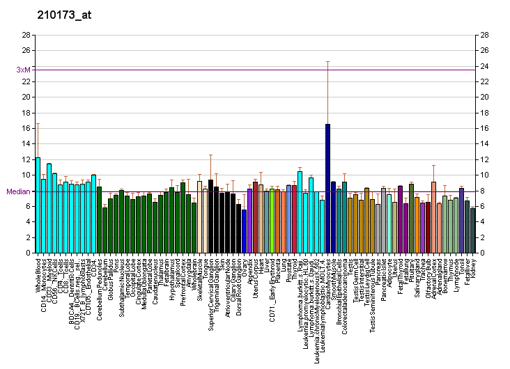 File:PBB GE PTPRJ 210173 at fs.png