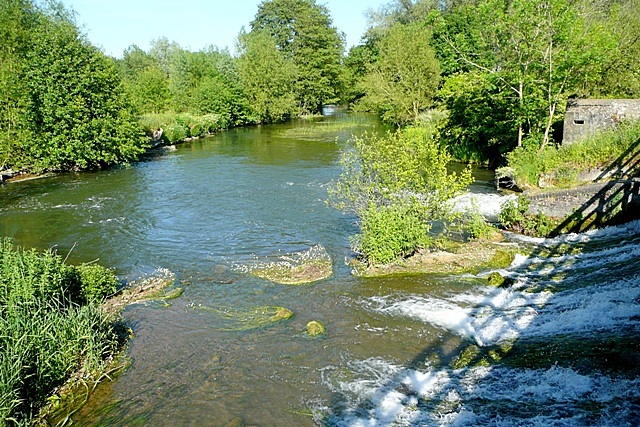 River Kennet - geograph.org.uk - 1341268