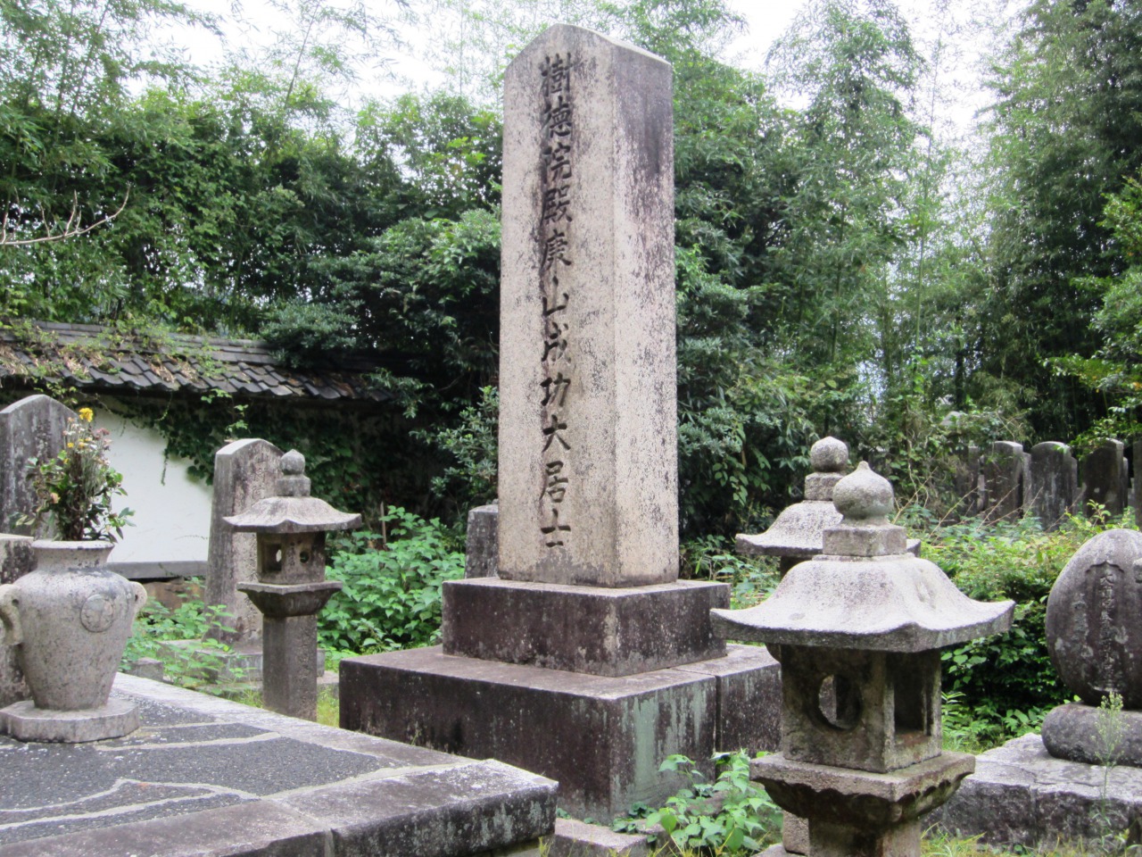 酒井忠与 - Wikipedia