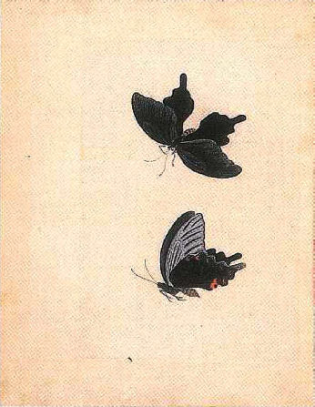 https://upload.wikimedia.org/wikipedia/commons/5/57/Sketchbook_of_Satake_Shozan_%28Akita_Senshu_Museum_of_Art%29.jpg