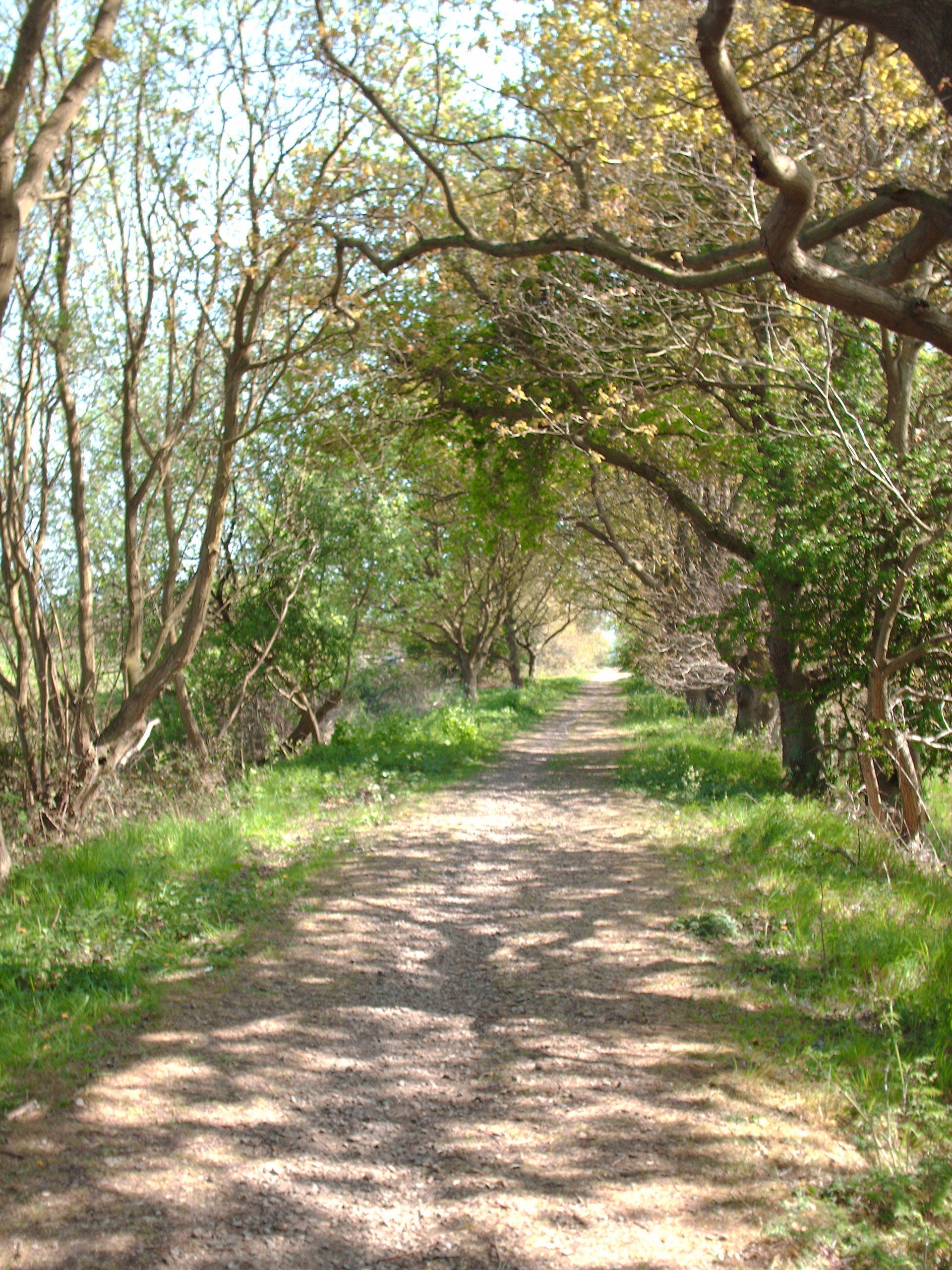 Weavers' Way