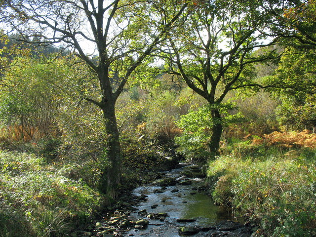 File:Afon Gorddinan near its confluence with Afon Lledr - geograph.org.uk - 592945.jpg