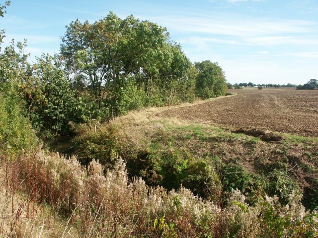 File:Beck - geograph.org.uk - 102363.jpg