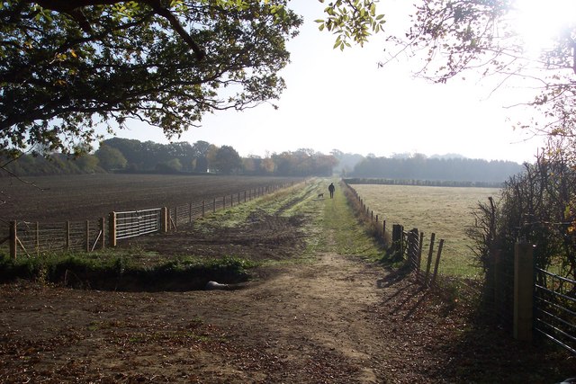 File:Bridleway to Tonbridge - geograph.org.uk - 1545160.jpg