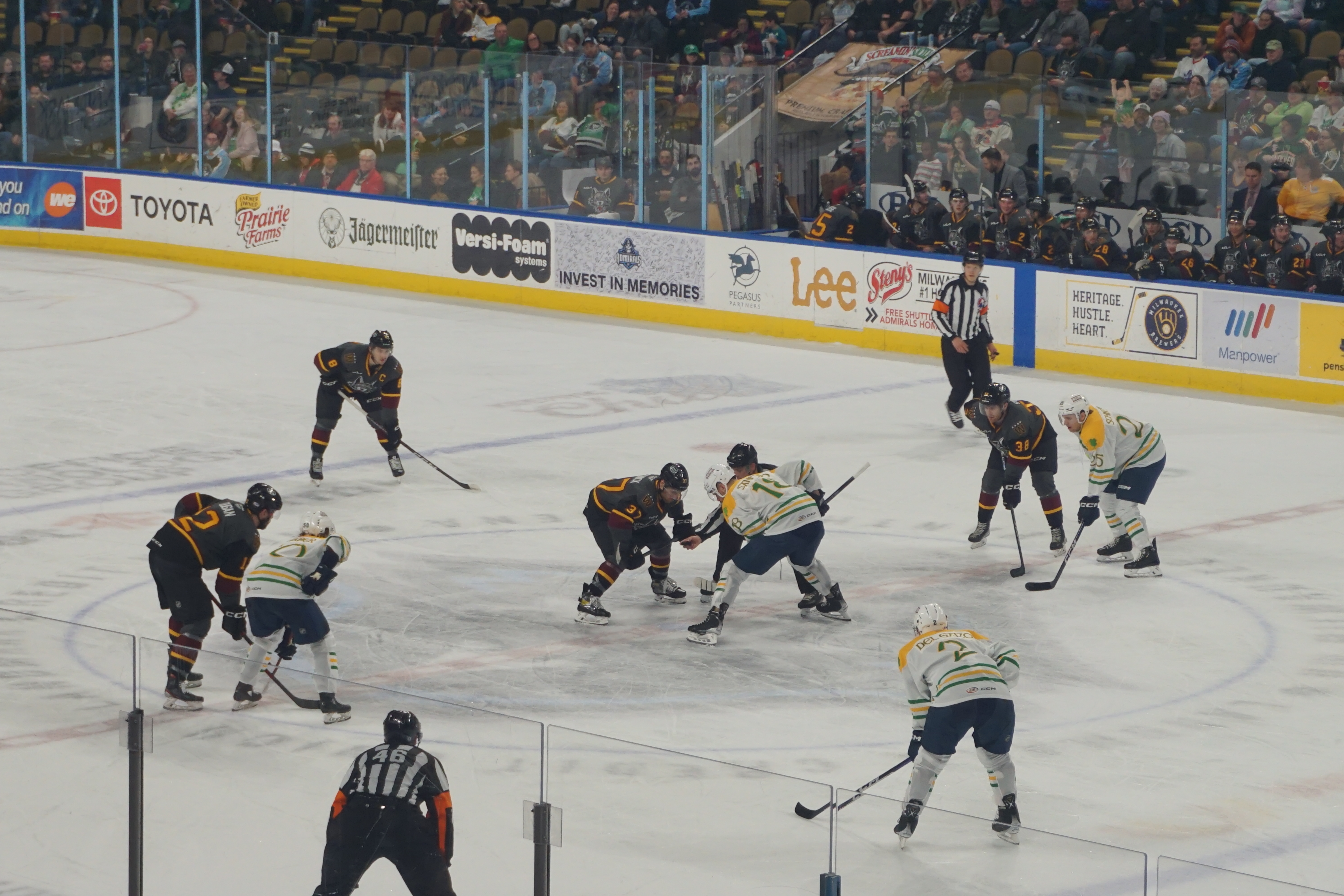 File:Chicago Wolves vs. Milwaukee Admirals March 2023 48 (face-off