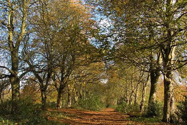 Chorleywood, Chess Valley Walk - geograph.org.uk - 700538