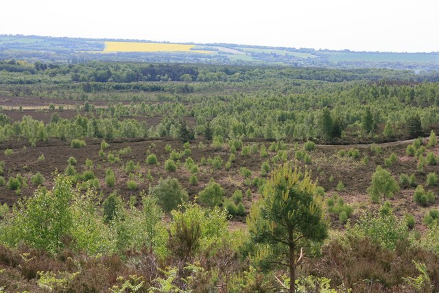 Ash to Brookwood Heaths