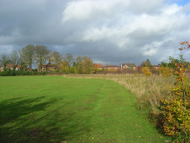 File:Field on the edge of Wargrave - geograph.org.uk - 1048328.jpg