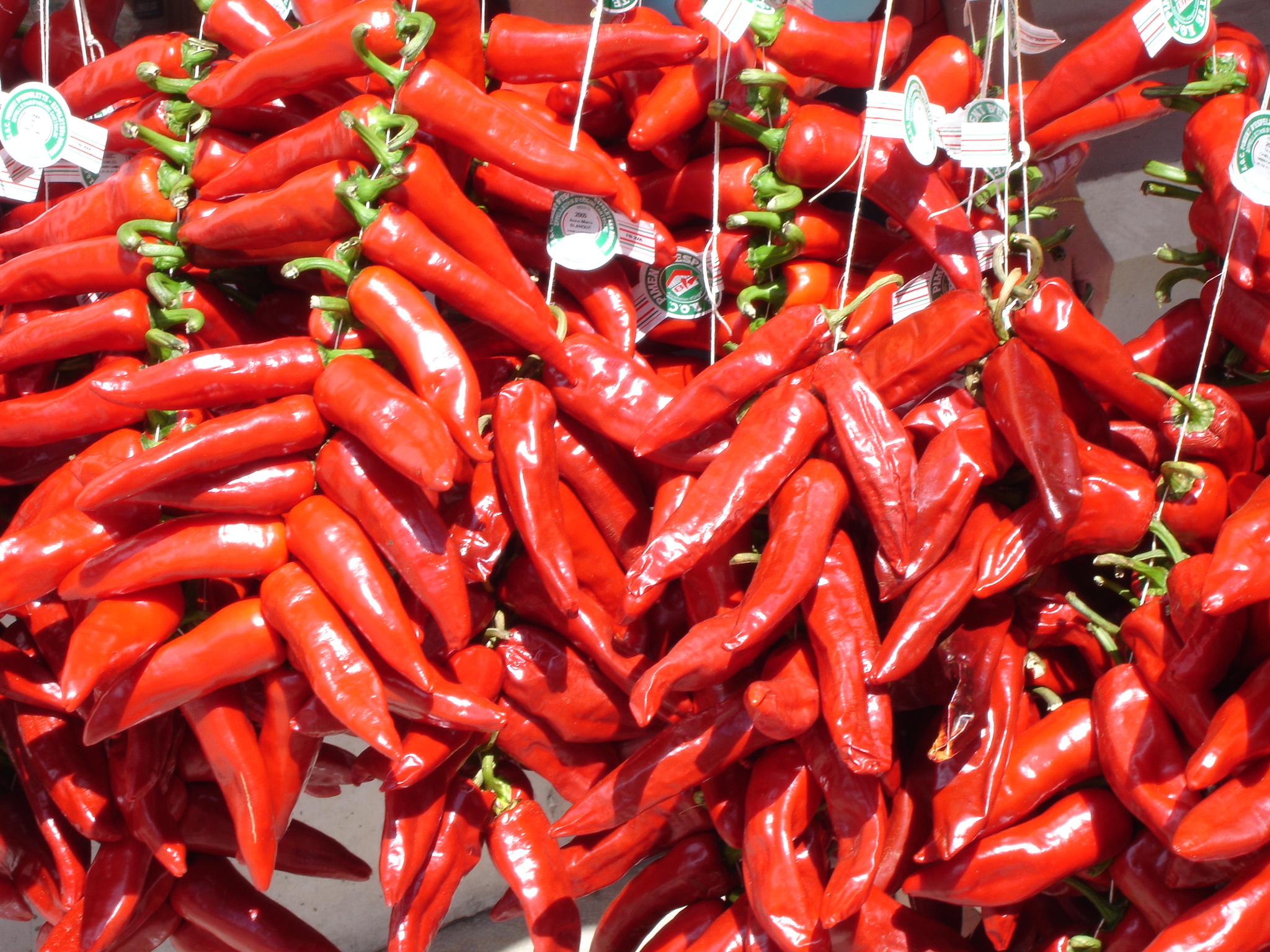 Piment : origine, antillais, d'Espelette, vert ou rouge