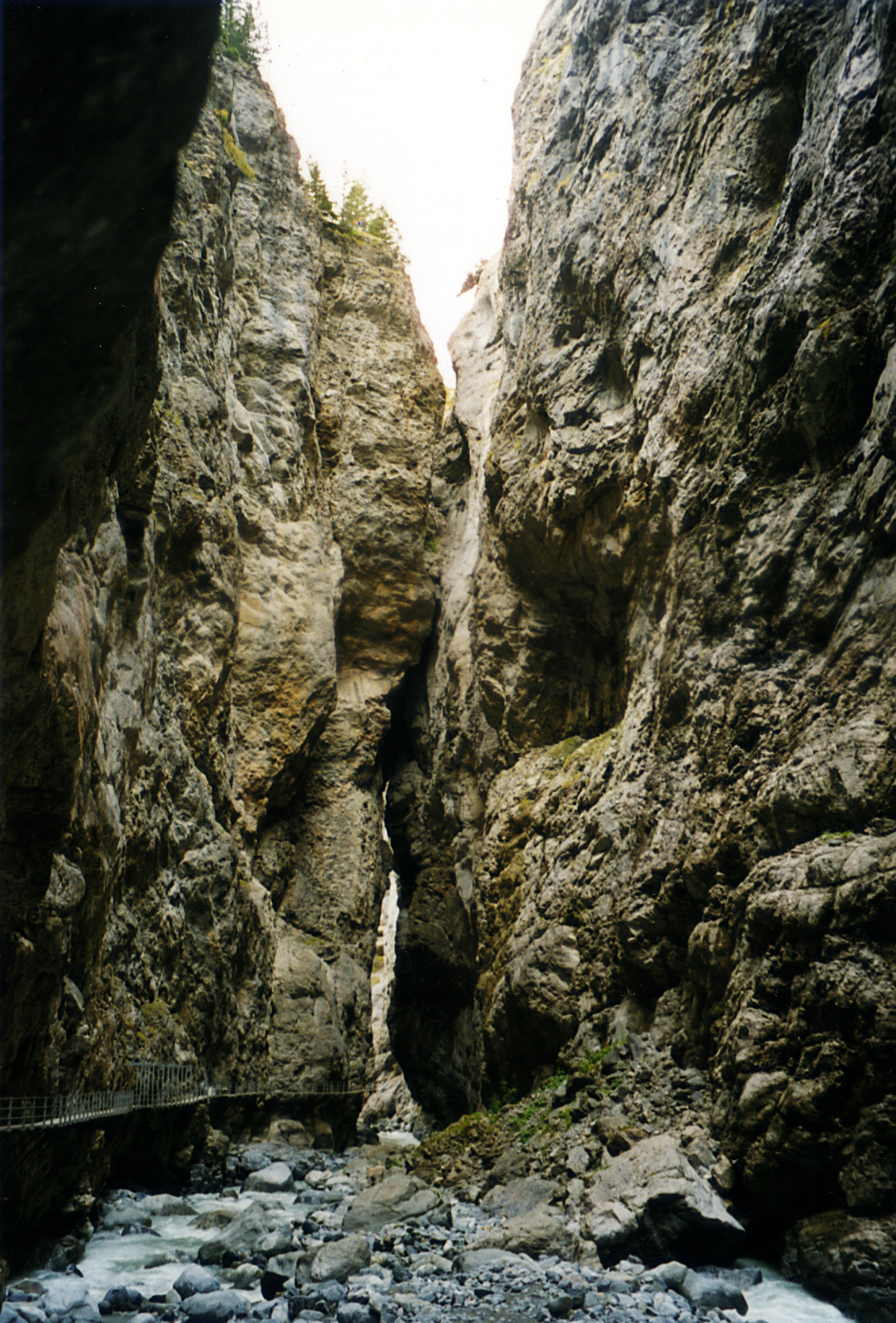 Free for All: Alice vs Takafumi vs Griffith vs Slink - ARENA: FLORESTA GrindelwaldGletscherschlucht