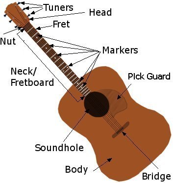 Guitar Drawing and Anatomy from WikiMedia