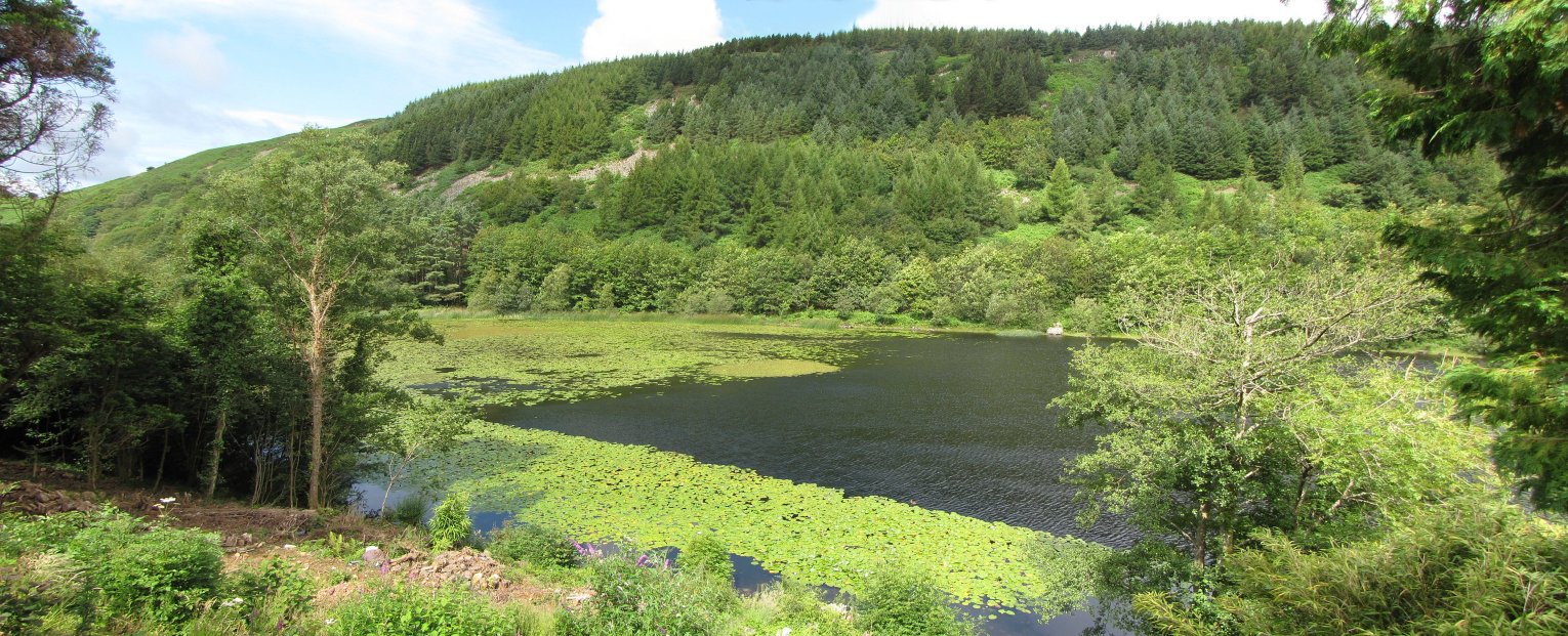 Llyn Gwernan